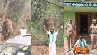 കാട്ടാനയ്ക്ക് മുന്നില്‍ കൈകൂപ്പി നമസ്‌കരിച്ച് സര്‍ക്കസുമായി യുവാവ്; സഹികെട്ട് കുത്താന്‍ പാഞ്ഞടുത്ത് ആന; ഒടുവില്‍ 'സ്റ്റൈൽ അണ്ണന്‍' പൊലീസ് പിടിയില്‍!